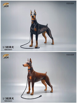 [สั่งจอง]JXK X32102 1/3 : Doberman Animal Model