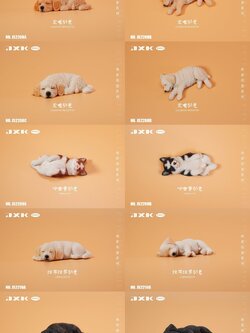 [สั่งจอง]JXK small : pup