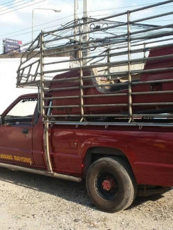 กระบะสแตนเลส ไซโคลน ทำสีพร้อมติดตั้งครับ