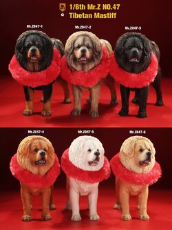 [สั่งจอง] MR. Z Animal Model MRZ047 1/6th Tibetan Mastiff
