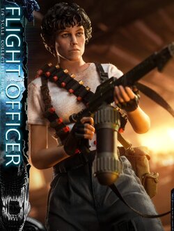 [สั่งจอง]PRESENT TOYS PT-sp60 1/6 : Flight officer