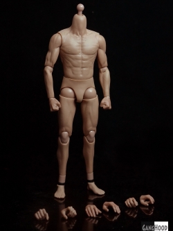 [สั่งจอง] Ganghood G002 1:6 Asia Male Muscular Figure Body
