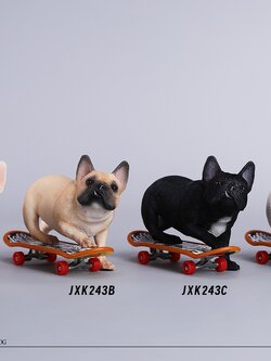 [สั่งจอง] JXK 1/6 : Skateboarding French Bulldog