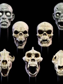 [พร้อมส่ง] Fourhorsemen : MYTHIC LEGIONS: ALL STARS 6 12 - UNDEAD HEADS PACK