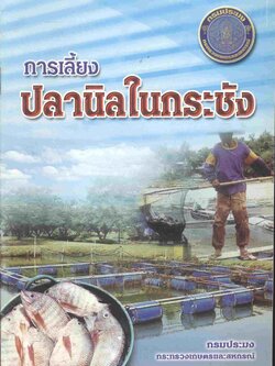 การเลี้ยงปลานิลในกระชัง