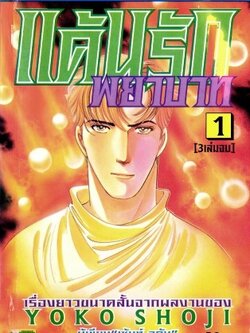 แค้นรักพยาบาท 3 เล่มจบ