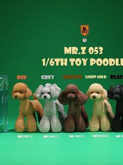 [สั่งจอง]Mr.Z MRZ053 animal model 1/6 : Toy Poodle