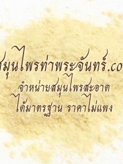 Pueraria mirifica / White kwao krua Powder