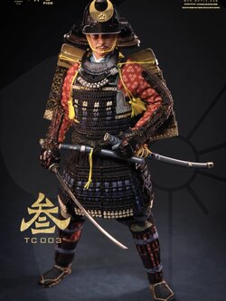 [สั่งจอง]PION x Summer Array TC003 : 1/6 Yuen Hinata Shou Jubei Akechi Mitsuhide