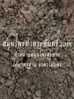 Rose-colored leadwort / Rosy leadwort / Fire plant / Official leadwort / Indian leadwort Powder