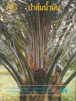 ปาล์มน้ำมัน