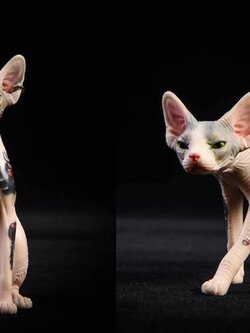 [สั่งจอง]JxK.Studio Jxk026A/b 1/6 Scale Sphynx cat tattoo