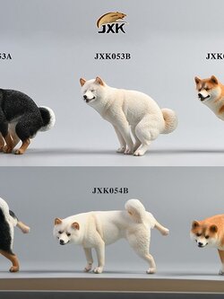 [สั่งจอง]JXK studio 1/6 : Shiba Inu