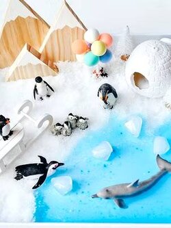 ชุดส่งเสริมประสาทสัมผัสเรียนรู้ขั้วโลกใต้ ,ของเล่นเสริมพัฒนาการ,การทดลอง,ของเล่นอนุบาล,แบบจำลอง,ของเล่นเชิงวิทยาศาสตร์,สินค้าพร้อมส่ง