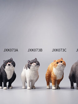 [สั่งจอง]JXK JXK073 ABCD 1/6 : Half squatting ExoticShorthair