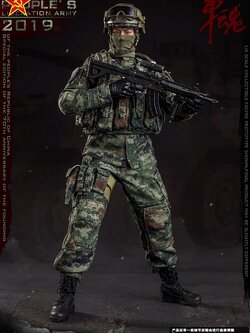[สั่งจอง]FLAGSET FS-73034 1/6 : Chinese People's Liberation Army 2019 [Special Edition]