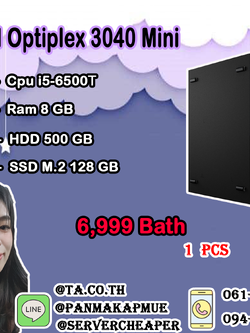 Dell Optiplex 3040 Mini