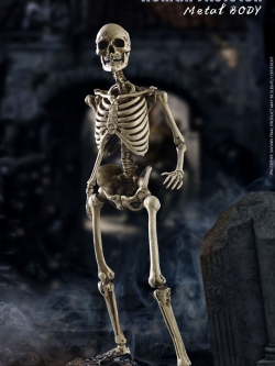 [สั่งจอง]COOMODEL NO.BS011 1/6 THE HUMAN SKELETON (DIECAST ALLOY)