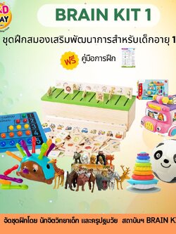 ชุดฝึกสมองเสริมพัฒนาการ 1-2 ขวบ, Brain Kit 1 สำหรับเด็กอายุ 1-2 ปี กระตุ้นพัฒนาการ โรงพยาบาล สื่อการสอน โรงเรียน