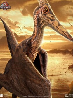 [สั่งจอง]ECC : Pteranodon Prop Replica (Jurassic Park III)
