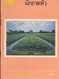 ผักกาดหัว (การปลุก บำรุงรักษา)