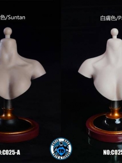 [สั่งจอง]SUPER DUCK C025 1/6 Female Bust Stand NO:C025-A, C025-B (เฉพาะแท่นโชว์เท่านั้น ไม่รวมหัว)