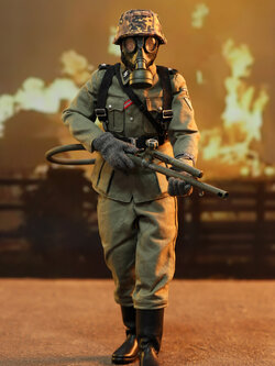 [สั่งจอง] DID D80177 1/6 : WWII German - Joerg