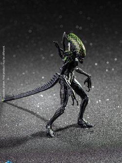 [สั่งจอง]Hiya toys : 1/18 Scale : Alien /Predator