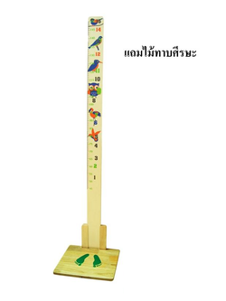 ไม้วัดส่วนสูงเด็กลายสัตว์ปีก ความสูง,วัดส่วนสูง,ไม้วัดส่วนสูงเด็ก , ของใช้โรงเรียน สื่อการสอน