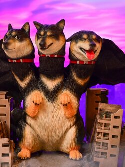 [พร้อมส่ง] Bid toys : Shiba DoRa- bid2502 (ชิบะดำ3)"