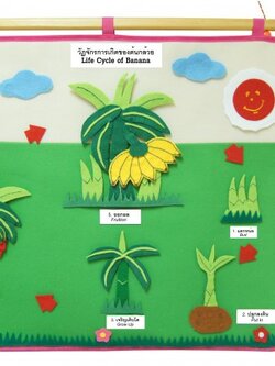 แผงผ้าวัฏจักรการเกิดต้นกล้วย, ของเล่นเสริมพัฒนาการ, ของเล่น , สื่อการสอน , สิ่งเเวดล้อม , วัฏจักรต้นไม้ , ต้นกล้วย