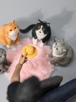 [สั่งจอง]JXK 1/6 : Princess Cat