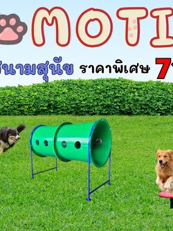 เครื่องเล่นสนามสุนัขจัดเซ็ท ราคาโปรโมชั่น 71,900 บาท, ฝึกสุนัข ,อุปกรณ์เสริมน้องหมา dog playground