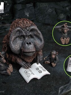 [สั่งจอง]STAR ACE TOYS 15cm : DF Maurice