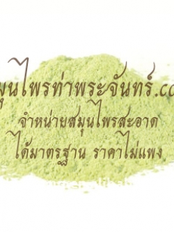 Nelumbo nucifera Gaertn.Powder