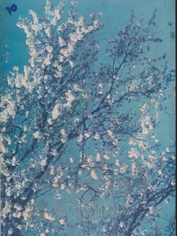 อยู่ดี - มีสุข