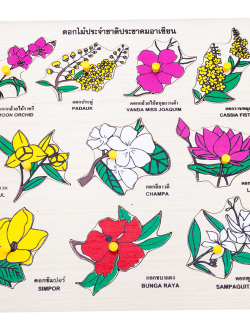 ภาพตัดต่อ ดอกไม้อาเซียน กระดานหมุดดอกไม้อาเซียน , ของเล่นไม้, ของเล่นเสริมพัฒนาการ, ของเล่นเด็กอนุบาล, สื่อการสอนเด็กอนุบาล