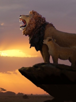 [สั่งจอง]FLY TOYS DF002 1/12 Panthera leo Massaicus Lion King and Son Animal Model