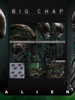 [สั่งจอง]Hot Toys 1/6 (Standard ver.)