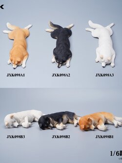 [สั่งจอง]JXK JXK098 1/6 : Shiba Inu
