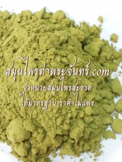 False daisy / White head / Yerbadetajo herb Powder