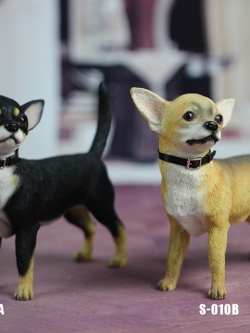 [สั่งจอง]SGTOYS S-010,S-011,S-012 1/6 Animal Model Chihuahua/ Rottweiler/ Springer Spaniel/Shiba Inu
