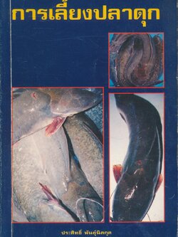 การเลี้ยงปลาดุก