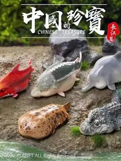[สั่งจอง]Animal Planet : Chinese Treasure
