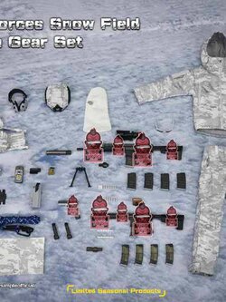 [สั่งจอง]Easy&Simple 06026 1/6 : Special Forces Snow Field Operation Gear Set