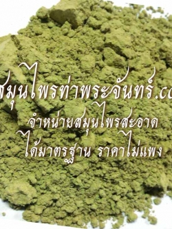 Jiaogulan/ Gynostemma, Miracle grass / Southern ginseng / 5-Leaf ginseng / Penta tea Powder