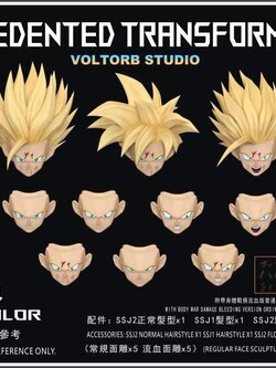 [สั่งจอง]Voltorb Studio 1/12 : Unprecedented Transformation Accessory Set