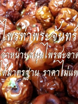 พุทราจีนแห้ง / พุทราแดง / อั่งจ้อ