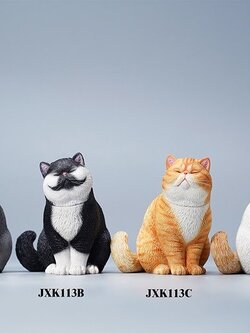 [สั่งจอง]JXK JXK113 1/6 : Change Head Exoticshorthair