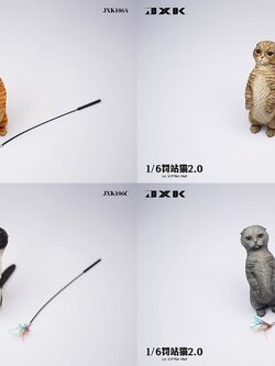 [สั่งจอง]JXK : Scottish Fold/Chckling/Duckling